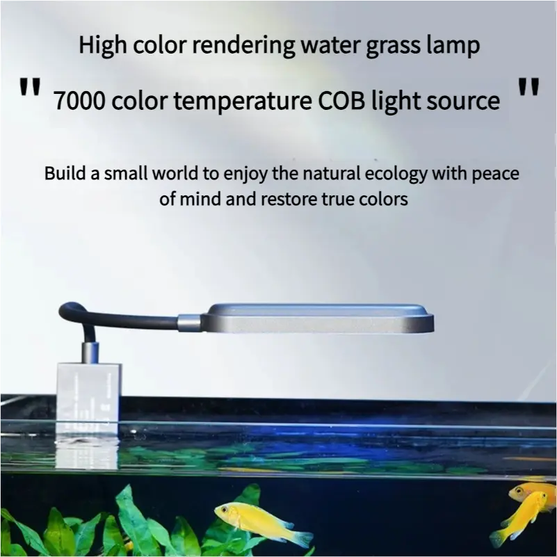 Ultra-white Glass Small and Medium-sized Living Room Fish tank Aquarium Desktop Decorative Fish tank Ecological Waterscape tank