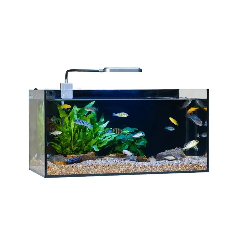 Ultra-white Glass Small and Medium-sized Living Room Fish tank Aquarium Desktop Decorative Fish tank Ecological Waterscape tank