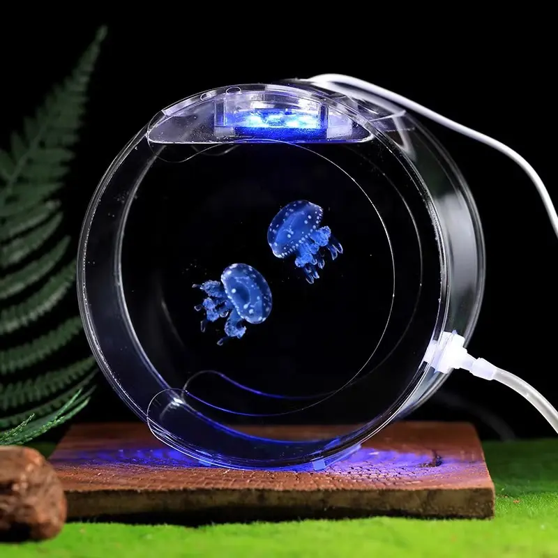 Contemporary Design Free-Standing Glass Fish Tank Luxury Home Decoration Aquarium Accessories for Middle Lamp Size for Bedroom