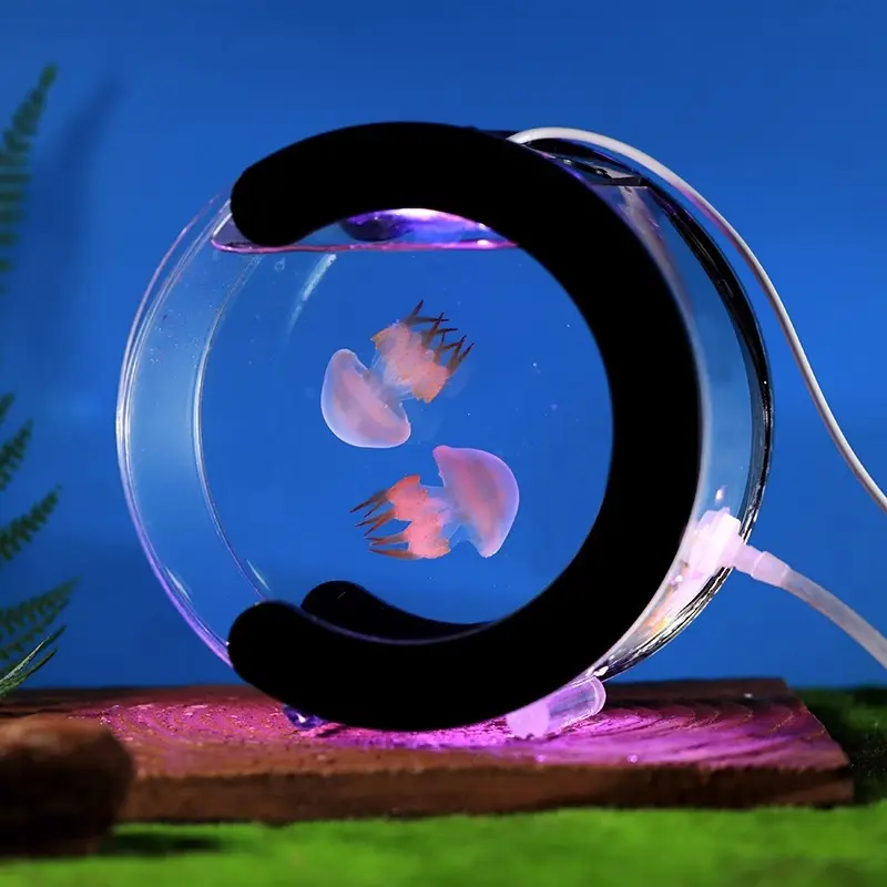 Contemporary Design Free-Standing Glass Fish Tank Luxury Home Decoration Aquarium Accessories for Middle Lamp Size for Bedroom