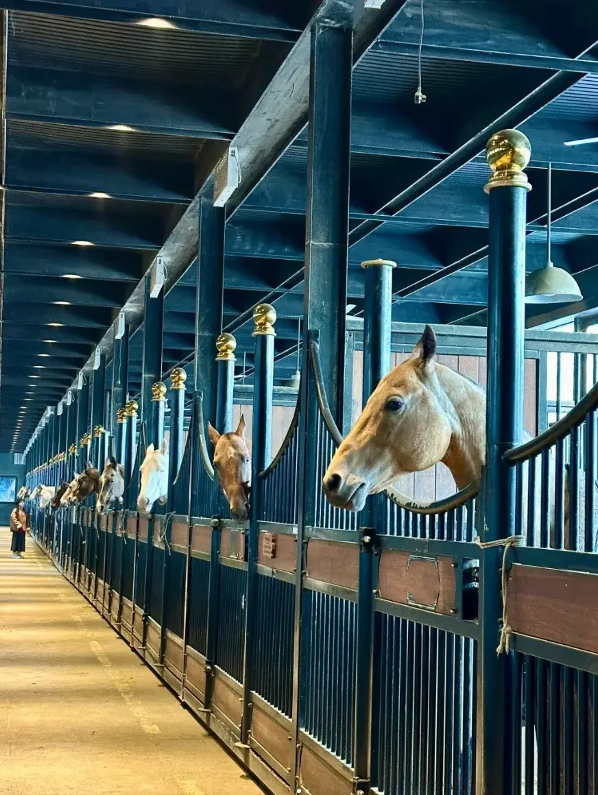Economical stables Made in China Factory with conscience Workmanship Factory tour available High quality Horse Farms