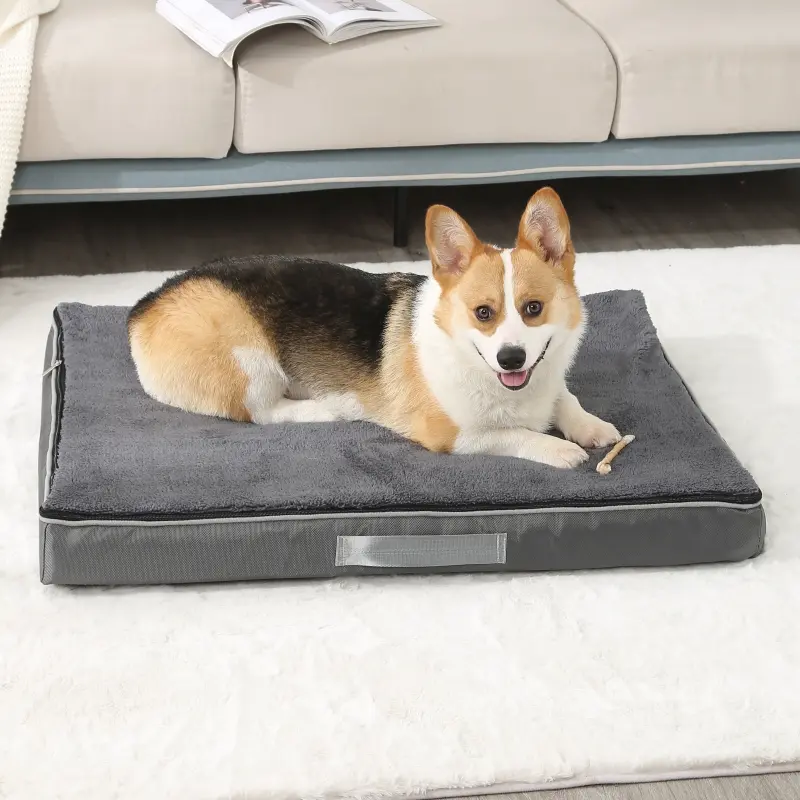 Detachable Waterproof Luxury Dog Bed Egg Shape Memory Foam Pet Mat Cat Bed Autumn and Winter Pet Bed Wholesale