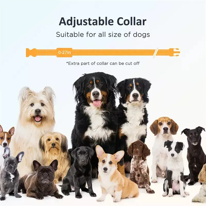 3 safety training modes buzzer rechargeable Pet Training Behavior Products e collar dog training