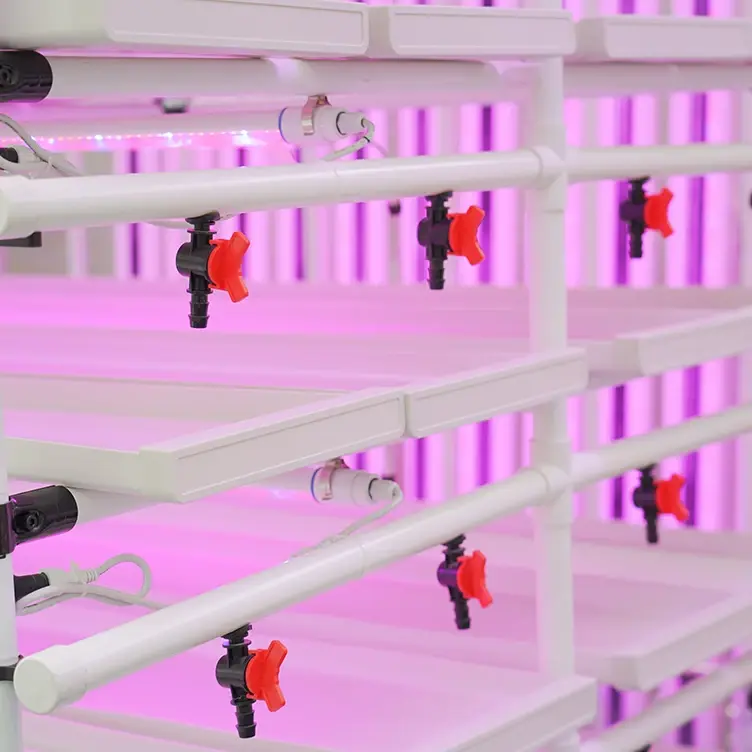 Automatic hydroponic growing rack farming pig rabbit poultry breeding fodder hydroponic grow rack