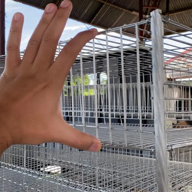 Chicken Farm Equipment Big Bird Pig Modular Pigeon Breeding Cage for Layer Chickens