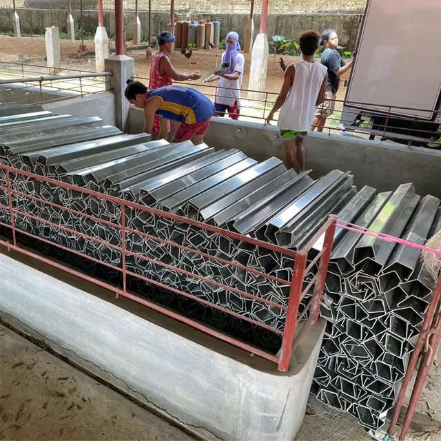 Chicken Farm Equipment Big Bird Pig Modular Pigeon Breeding Cage for Layer Chickens