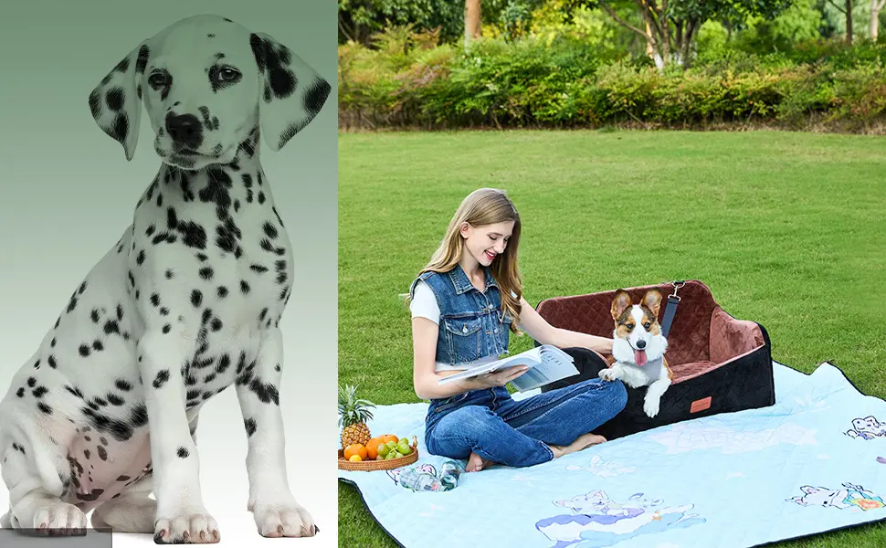 Pet Sofa Bed with Short Wool Fabric for Dogs Reversible Car Seat and Home Use Two-Way Cushion