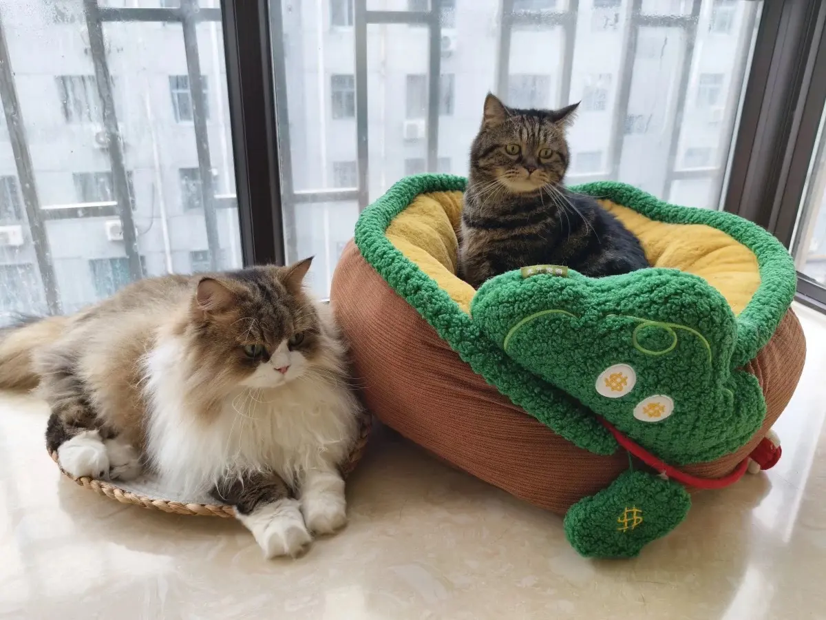Cat bed winter warm bed cold-proof sleeping bed cat sofa