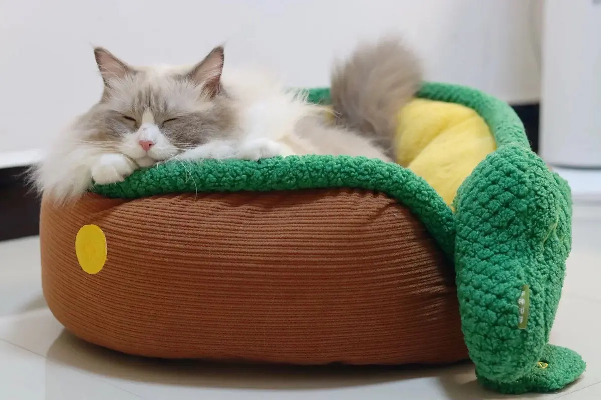 Cat bed winter warm bed cold-proof sleeping bed cat sofa