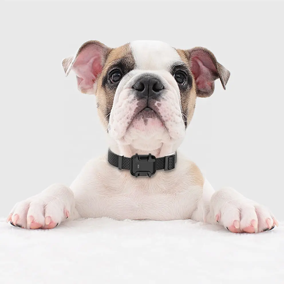 2023 New Rechargeable and Waterproof 800M Range Remote Control LED 4G Pet Dog Training Collars with Adjustable Shock/Vibration