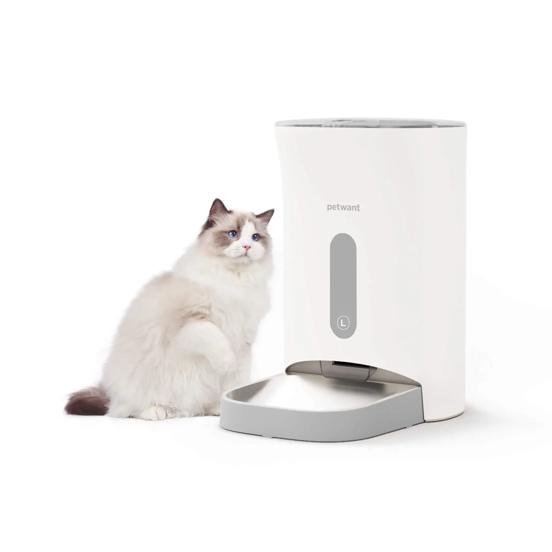 Wholesale Automatic Pet Feeder Anti Jamming Grain 4 Meals Timed Dog Cat Food Dispenser