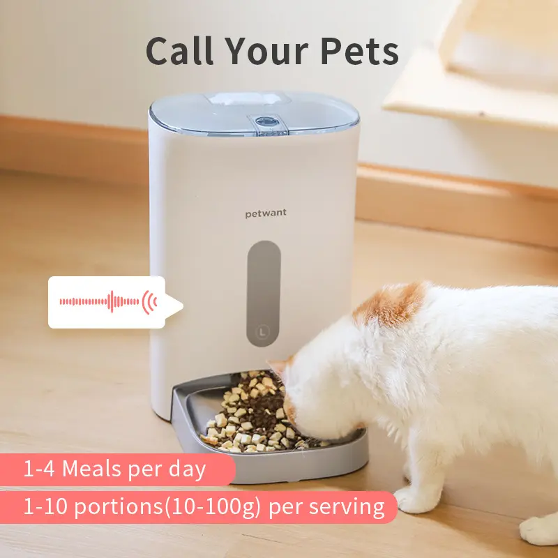 Wholesale Automatic Pet Feeder Anti Jamming Grain 4 Meals Timed Dog Cat Food Dispenser