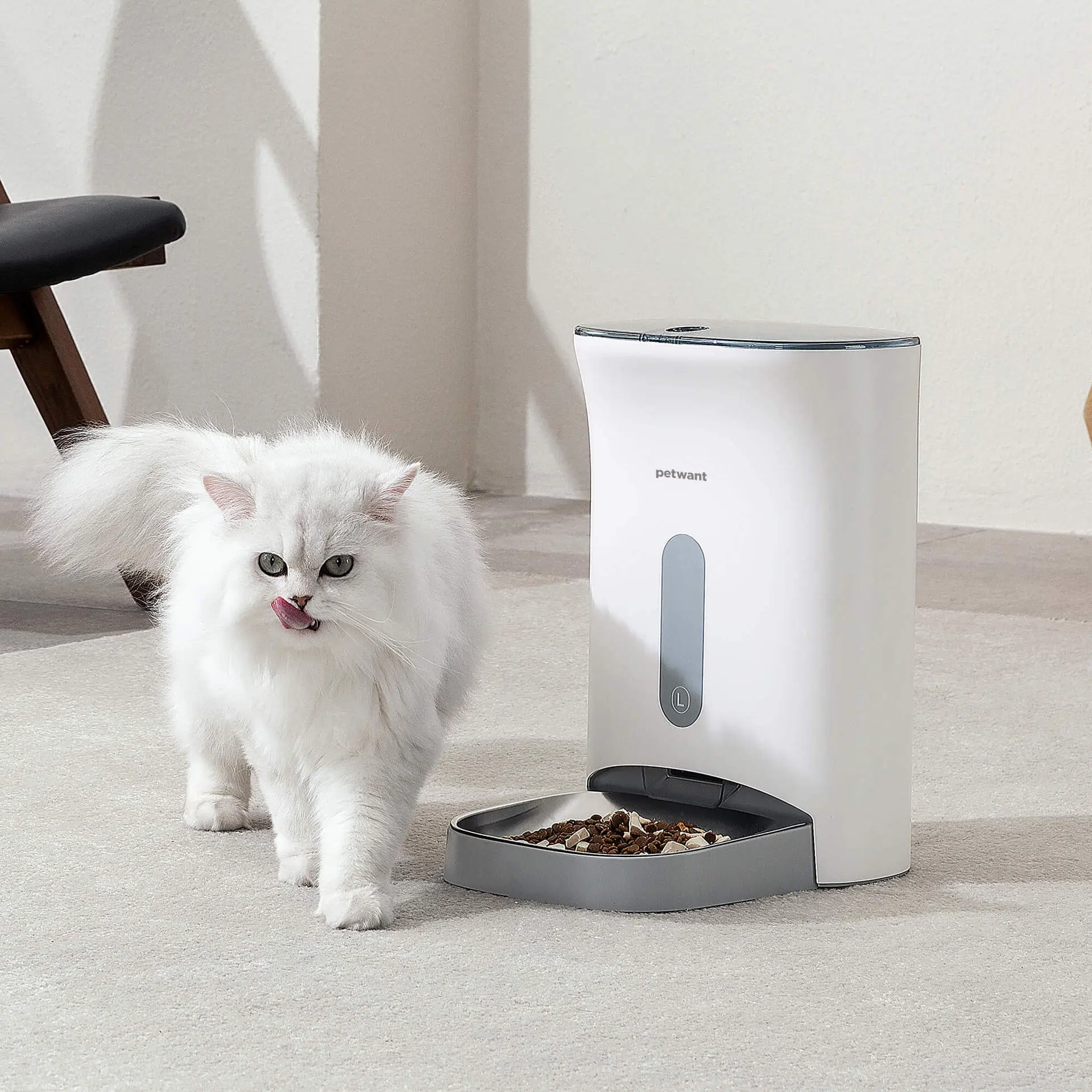 Wholesale Automatic Pet Feeder Anti Jamming Grain 4 Meals Timed Dog Cat Food Dispenser