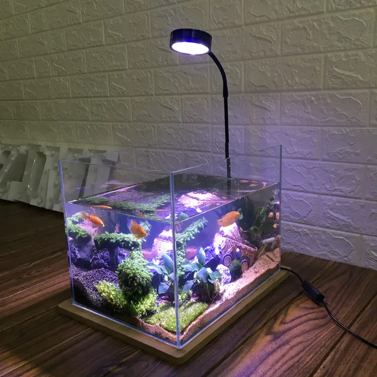 Right Angle Ultra-white Grass Fish Tank Multi-size Aquarium Fish Tank with Factory Direct Selling Price