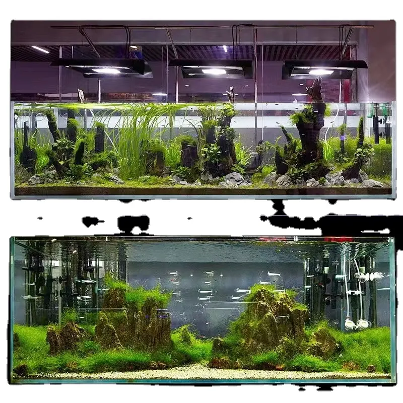 Right Angle Ultra-white Grass Fish Tank Multi-size Aquarium Fish Tank with Factory Direct Selling Price