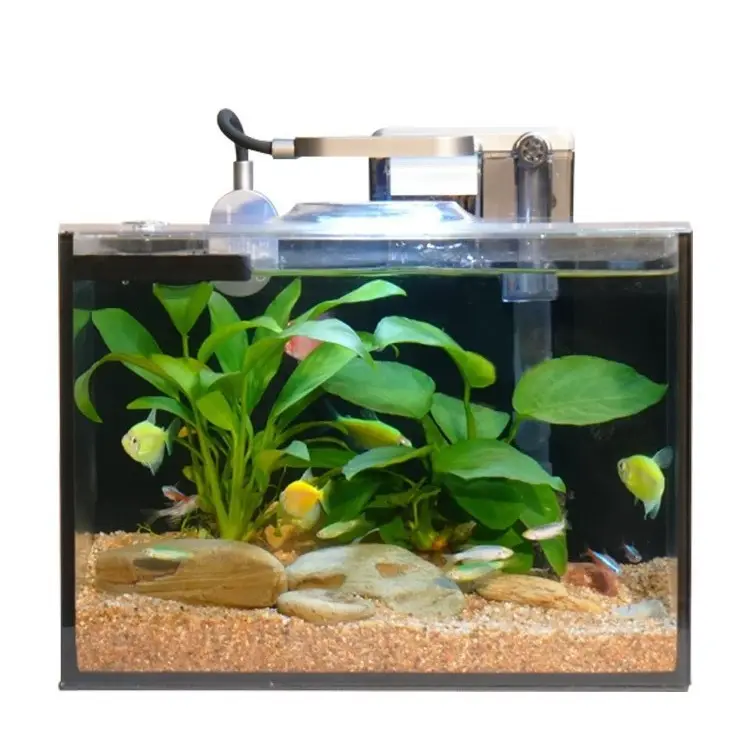Ultra-clear Glass Desktop PLUS Version Aquarium Fish tank with Lid Desktop Fish tank Free of Water Change Aquarium tank