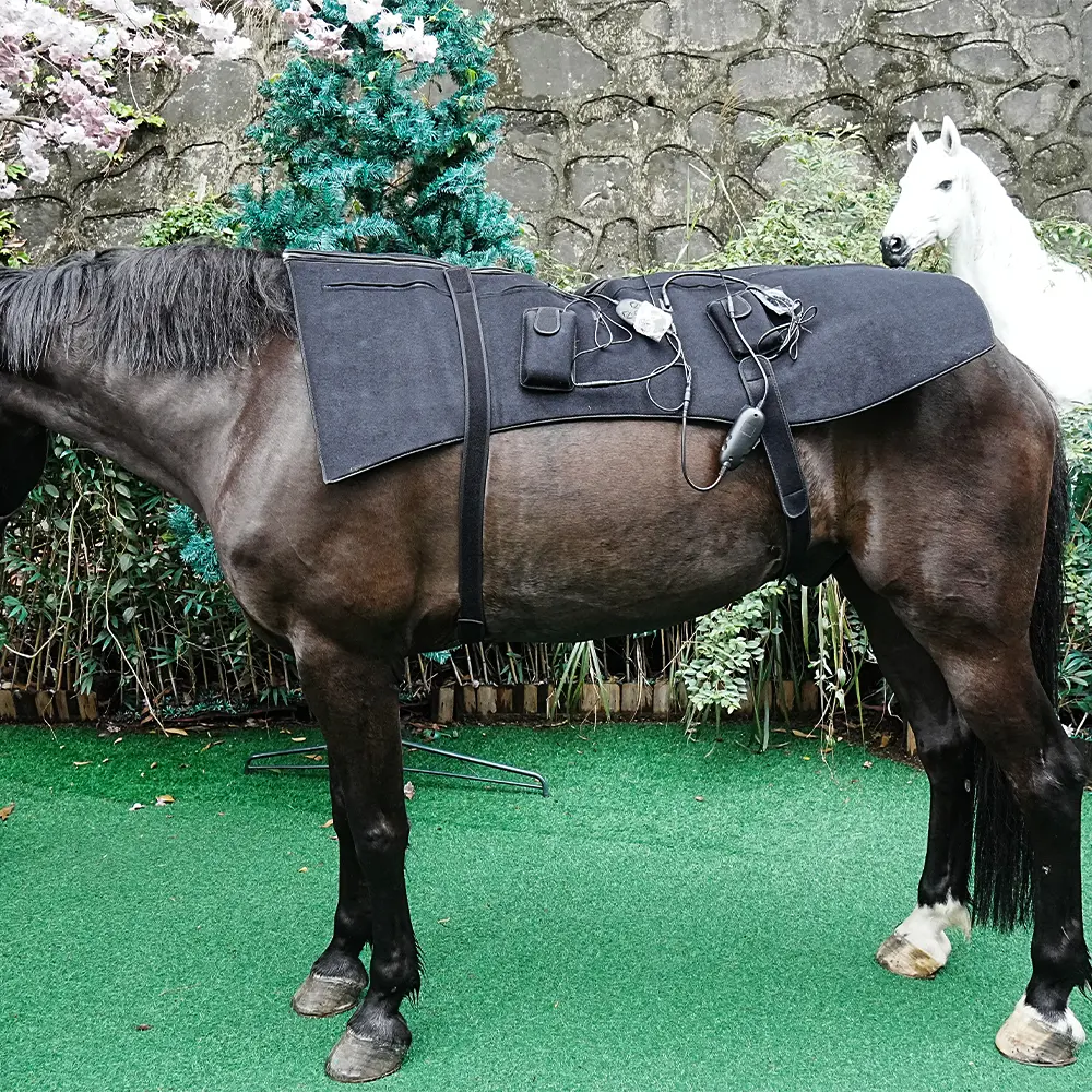 2023 New Handheld Equine Red Light Therapy Horse Legs Relieve Fatigue  Red Light Infrared Light Therapy Horse Device