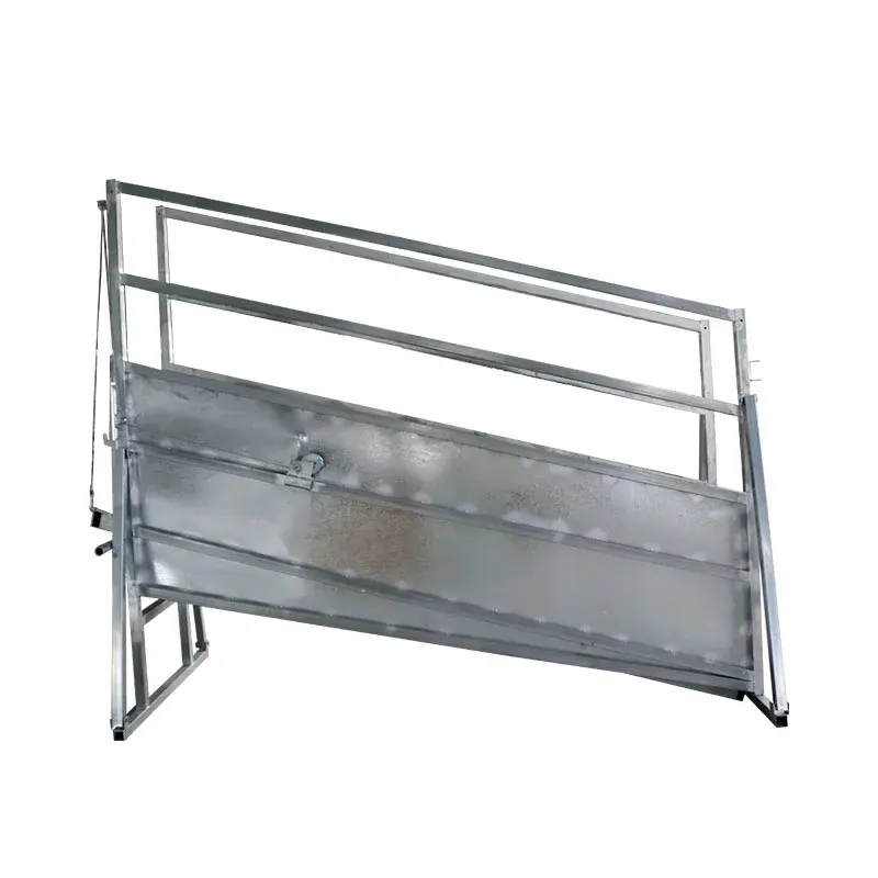 Convenient and practical galvanized cattle loading ramp on the farm