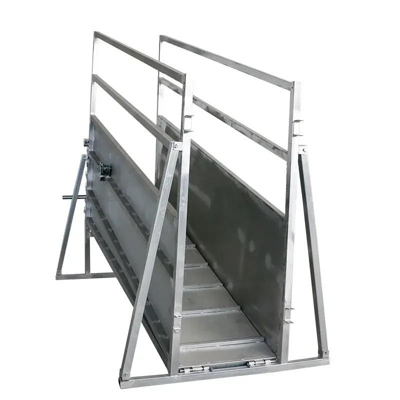 Convenient and practical galvanized cattle loading ramp on the farm
