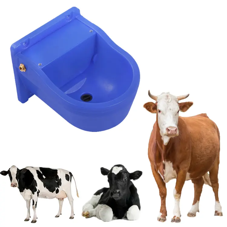 Factory Directly Supply Suitable for Dairy or Poultry Livestock Waterers-Water Bowl
