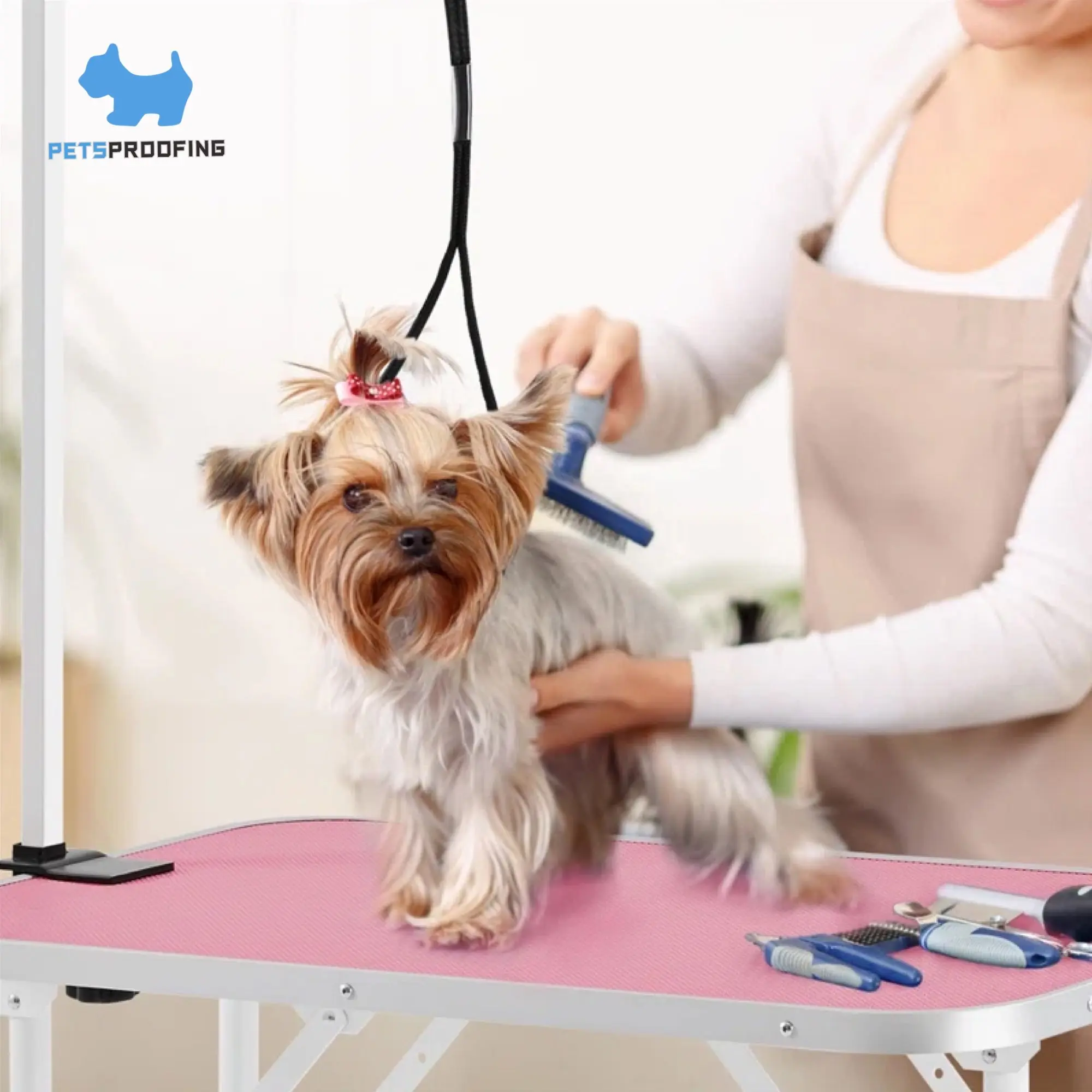 Petsproofing Stainless Steel Folding Adjustable Height Vet Pet Dog Beauty Grooming Table for Sale