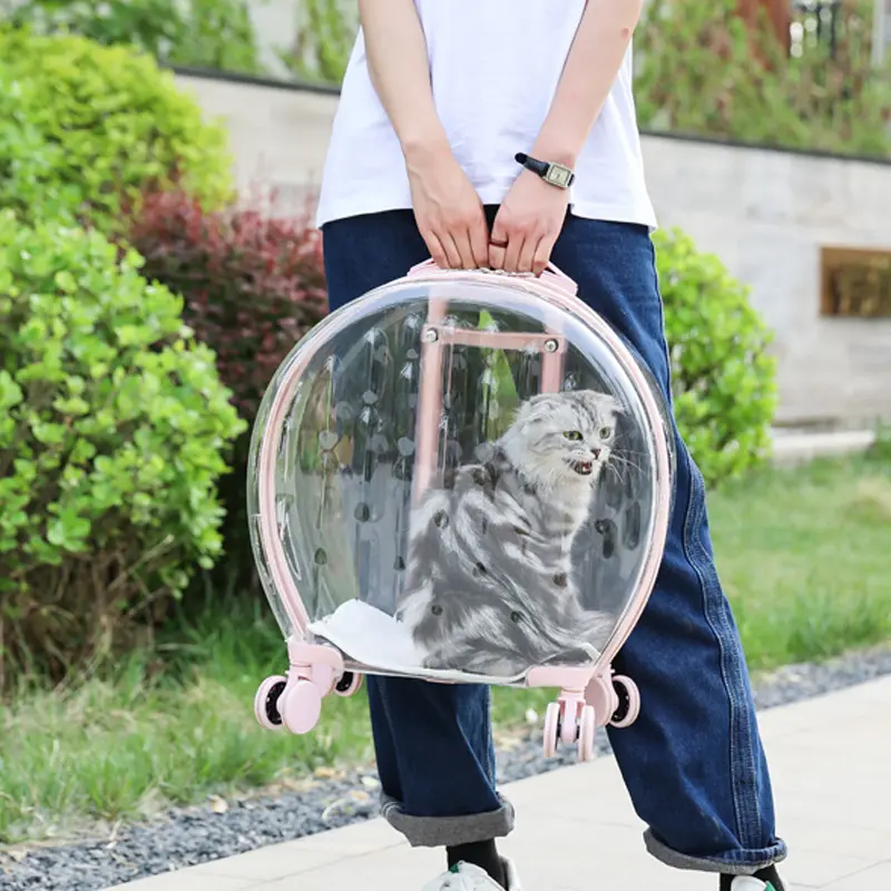 Cat Kennel Trolley Case Wave Portable With Wheel Pet Carrier Fully Transparent Airline Approved Breathe Travel Dog Carrier Bag