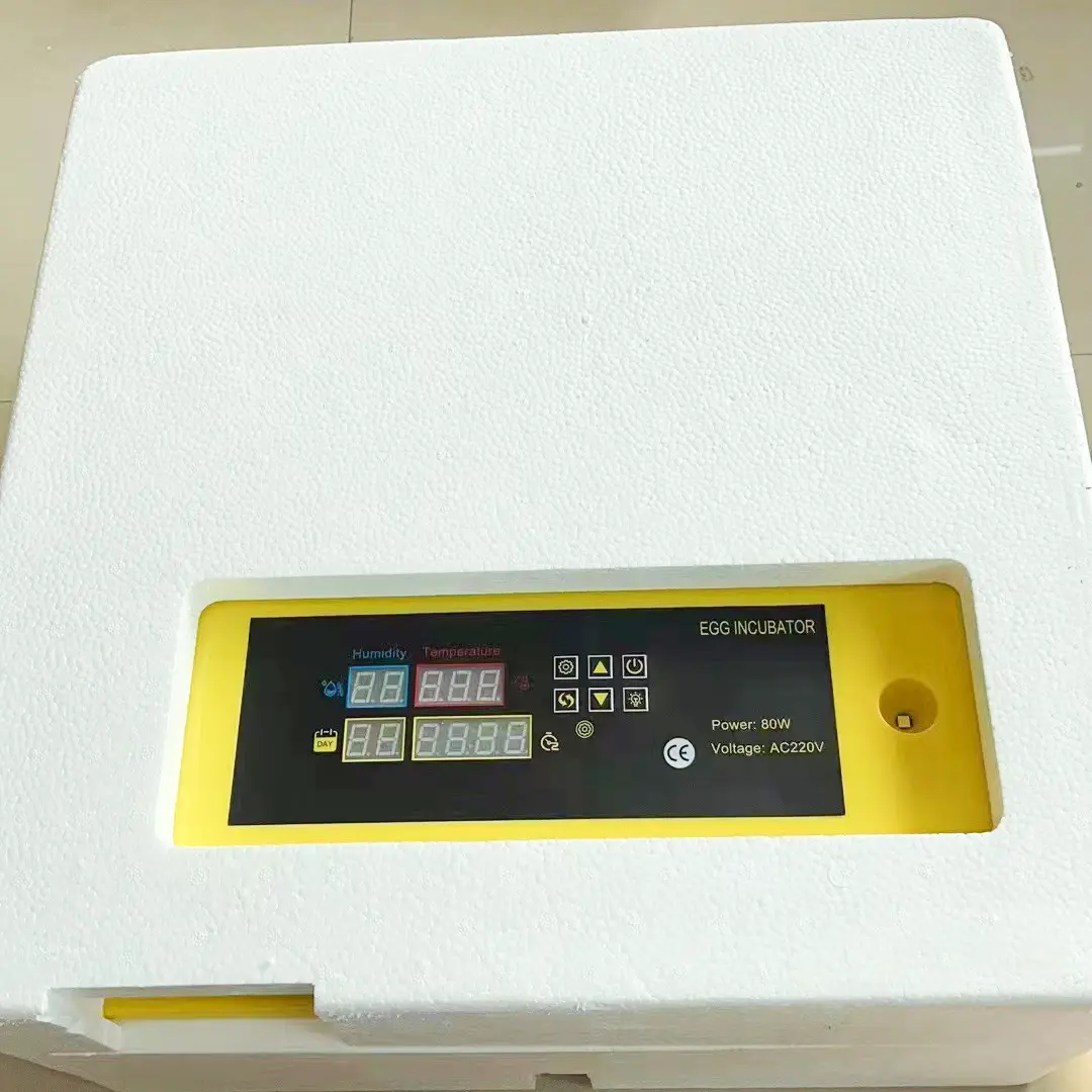 12/110/220V Digital Mini Incubator with Competitive Price for Sale