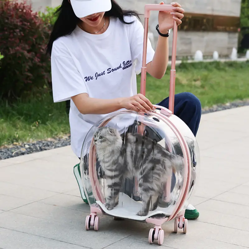 Cat Kennel Trolley Case Wave Portable With Wheel Pet Carrier Fully Transparent Airline Approved Breathe Travel Dog Carrier Bag