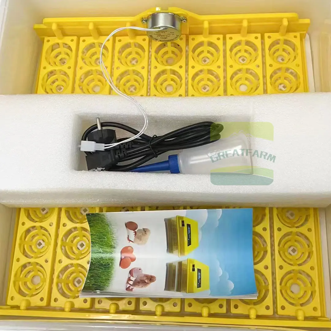 12/110/220V Digital Mini Incubator with Competitive Price for Sale