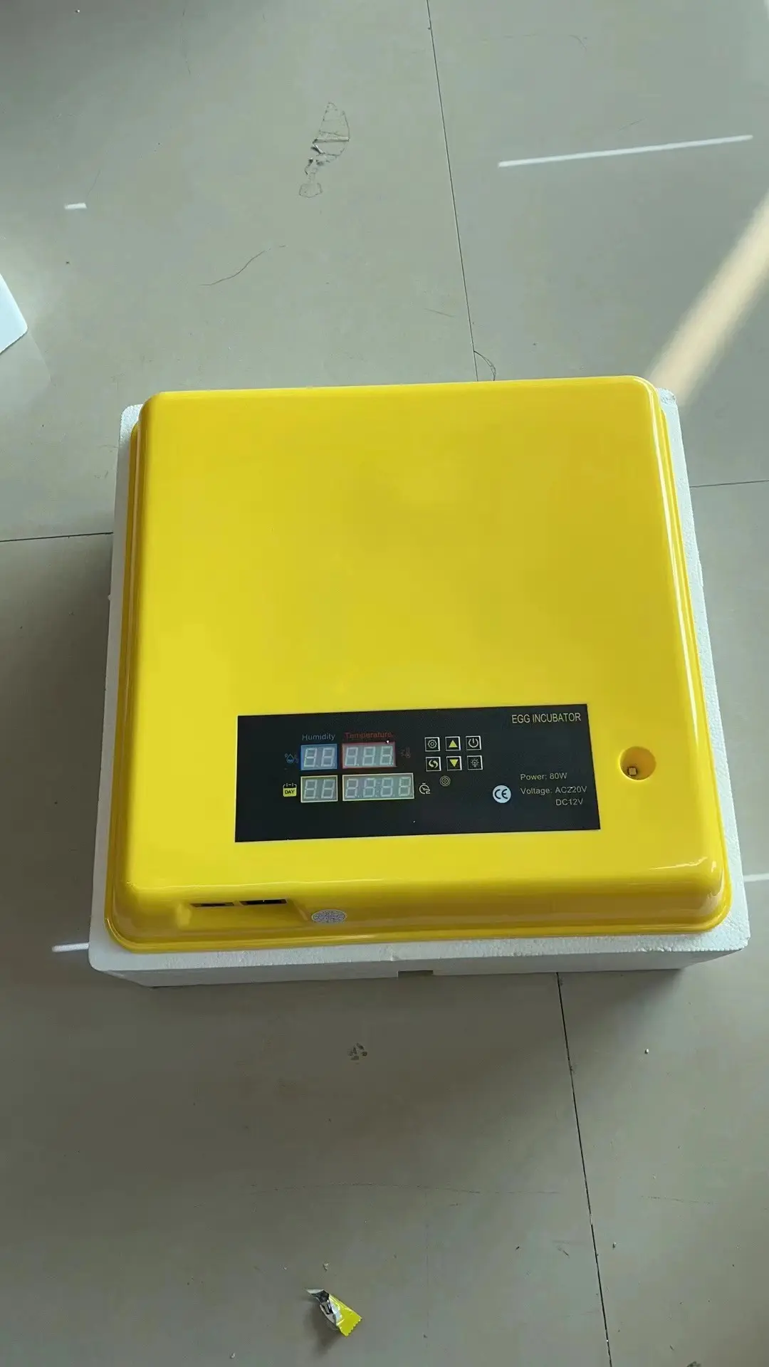 12/110/220V Digital Mini Incubator with Competitive Price for Sale