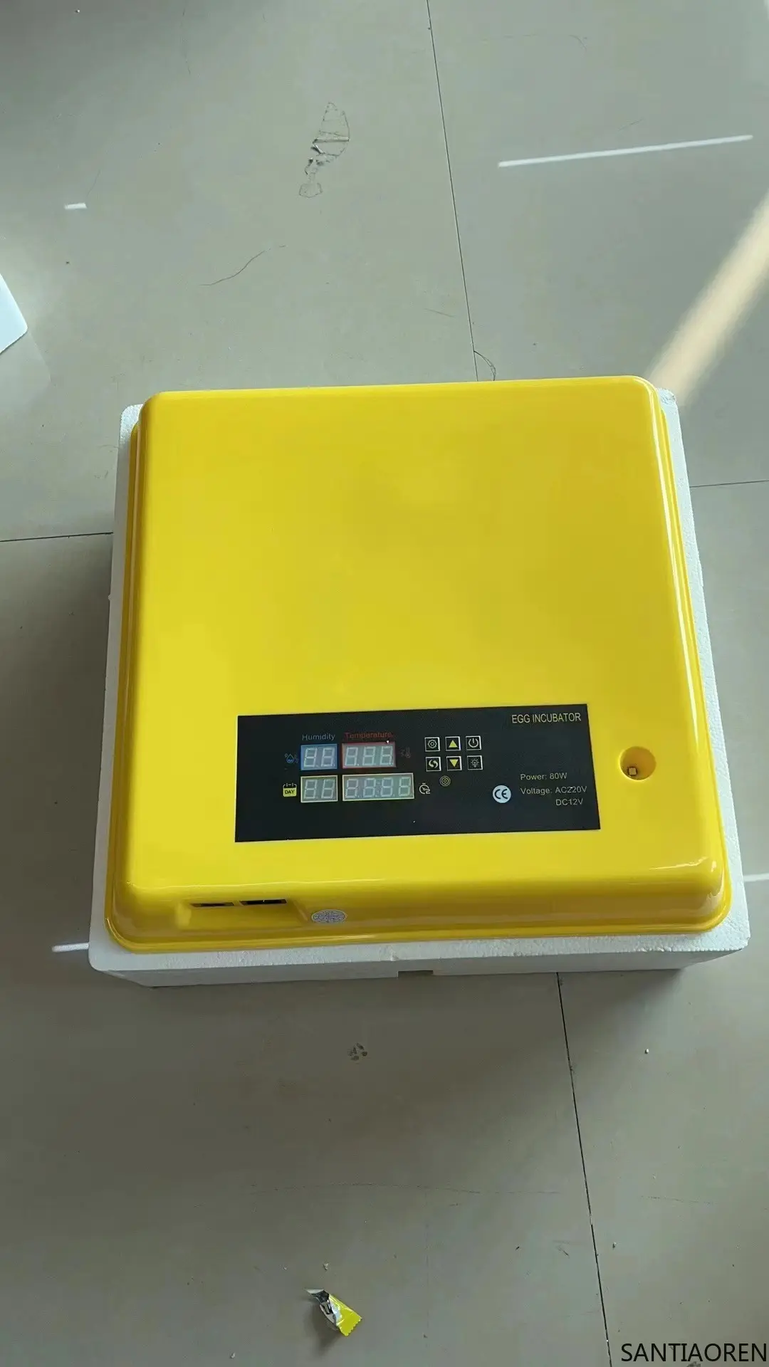12/110/220V Digital Mini Incubator with Competitive Price for Sale