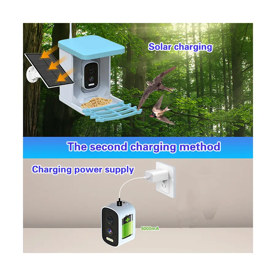 Best Seller Solar Powered 1080P HD AI Identify Mini Bird Feeder Smart Bird Feeder With Camera Waterproof