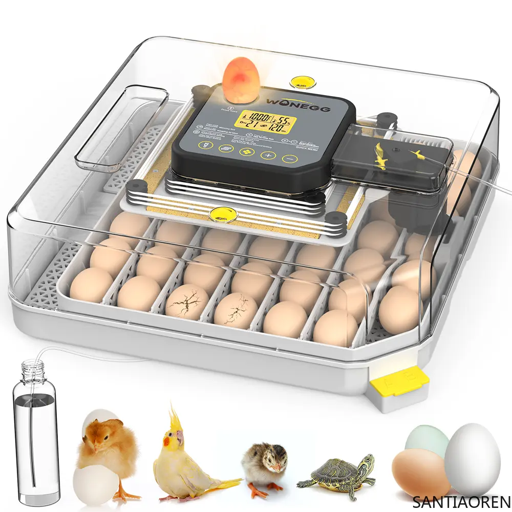 HHD Newest Fully Automatic Controlled 48 Pro Eggs Capacity Dual Power Egg Incubator for Sale