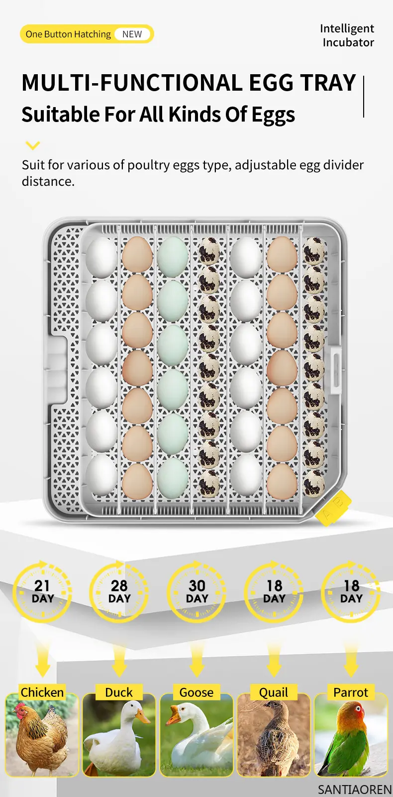 HHD Newest Fully Automatic Controlled 48 Pro Eggs Capacity Dual Power Egg Incubator for Sale
