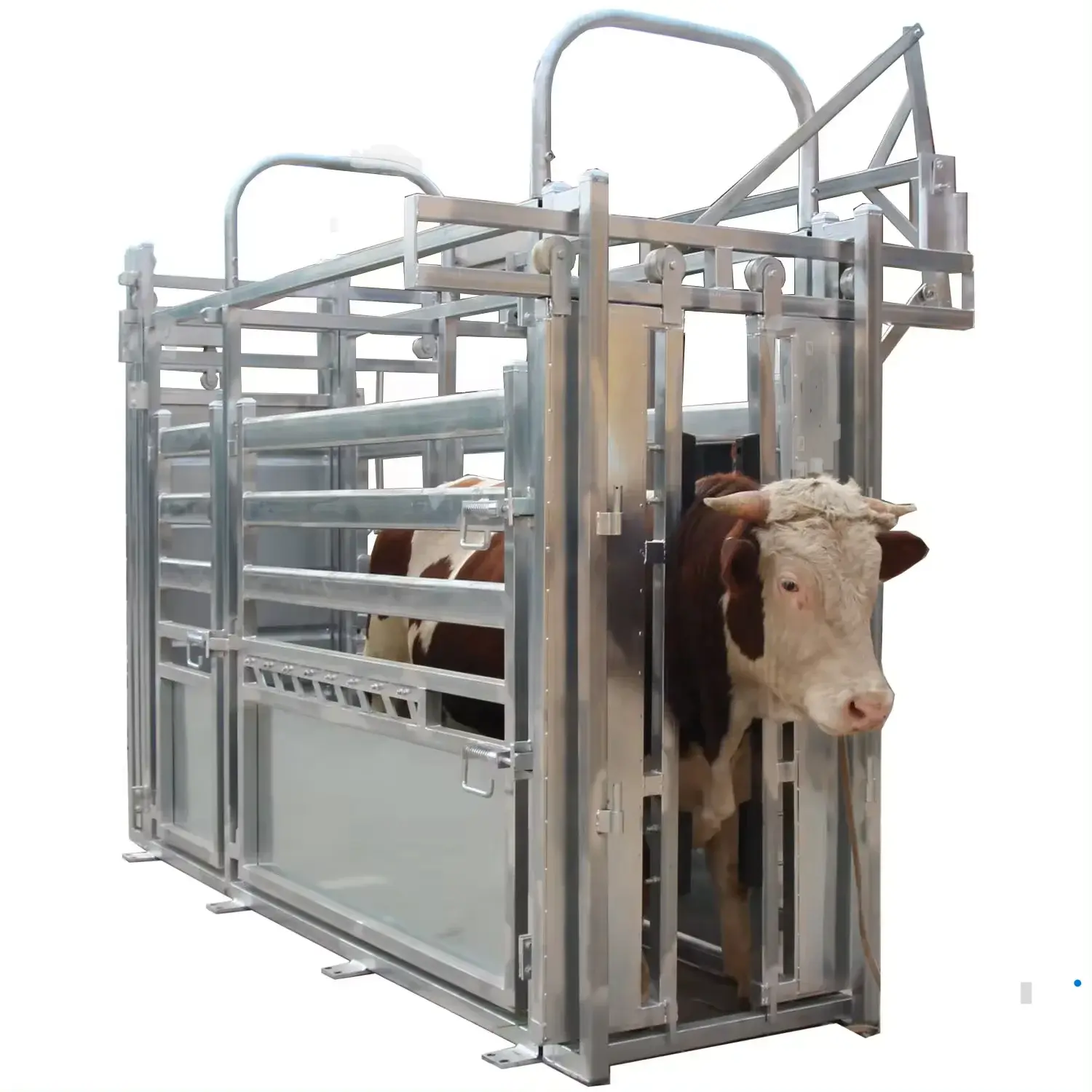 High Quality Heavy Duty Cattle Crush with Weighing Scale Trimming Portable Cattle Squeeze Crusher
