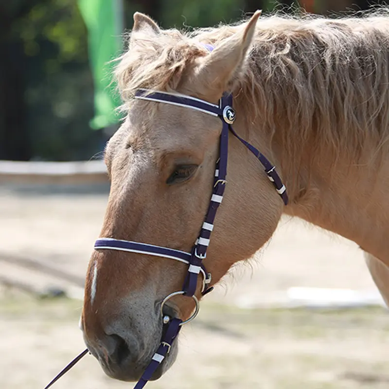 Full Horse Dressage Bridle Cold-Resistant PVC Synthetic Nylon Material Western Style Leather Saddle English Riding Activities