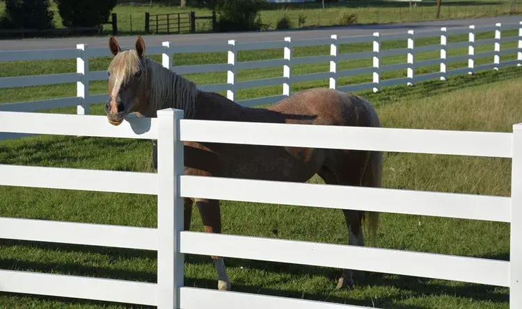 Customized product Sustainable China Supplier Hot Sale Cheap Beautiful Horse Farm Ranch Pvc Fence