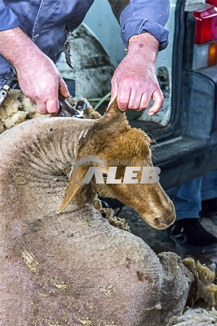 Hand held goat cow wool shearing machine  portable electric sheep wool shears machine