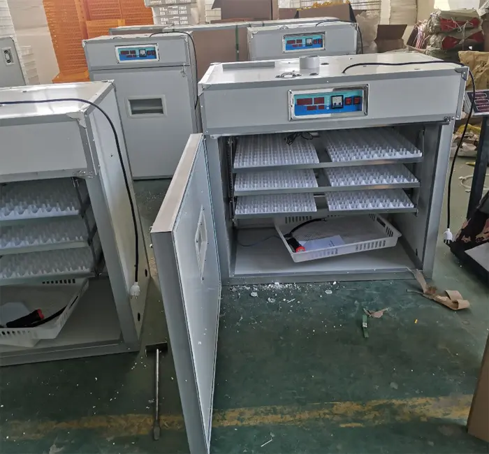 Incubators Hatching Eggs and Egg Incubators