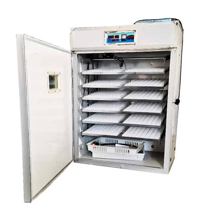 Incubators Hatching Eggs and Egg Incubators
