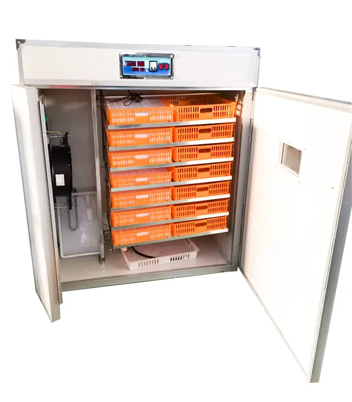 Incubators Hatching Eggs and Egg Incubators