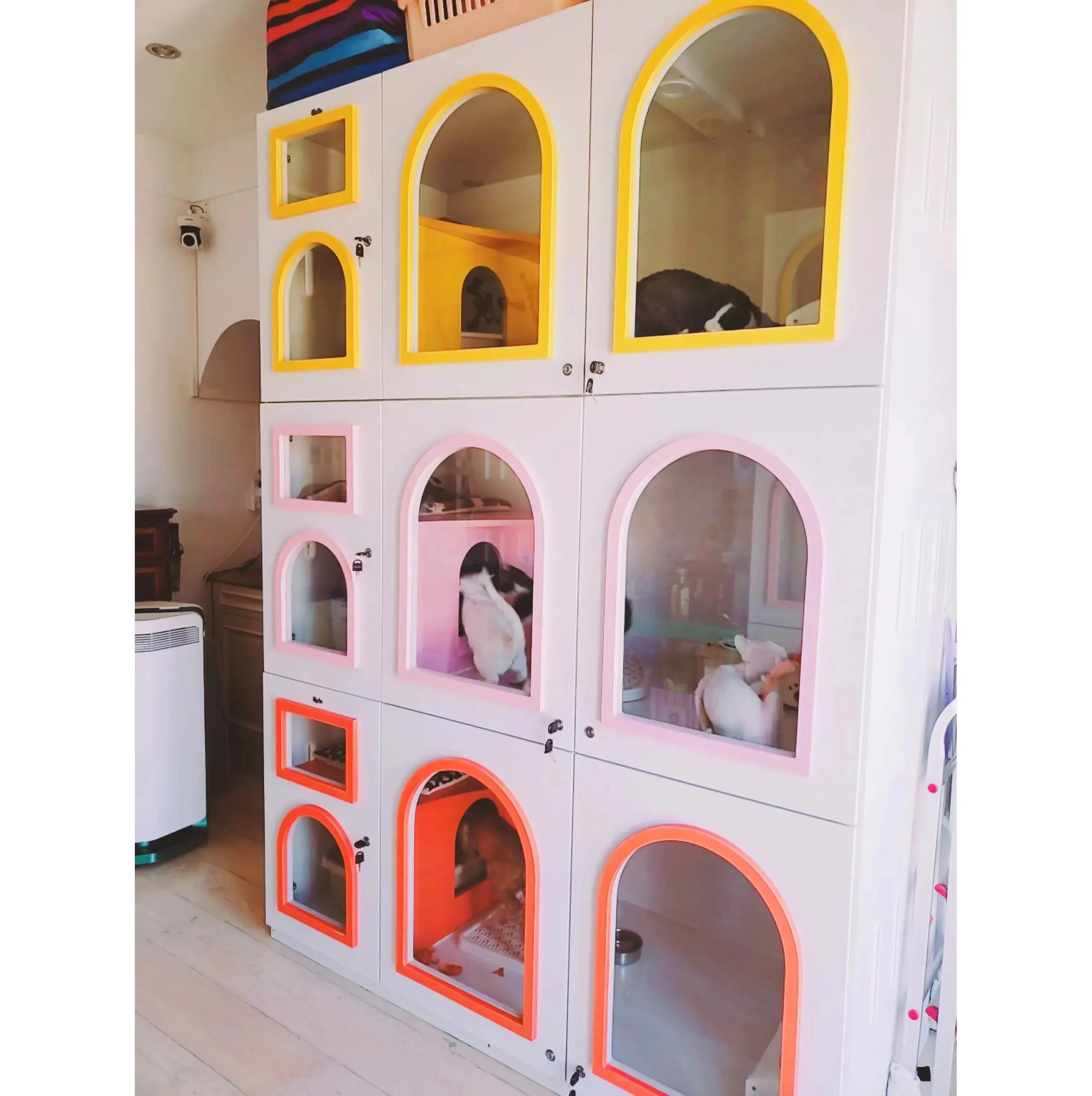 Wholesale Moon Wicker House Houses Large Washable Luxury Cat Pet Dog Bed With High Quality
