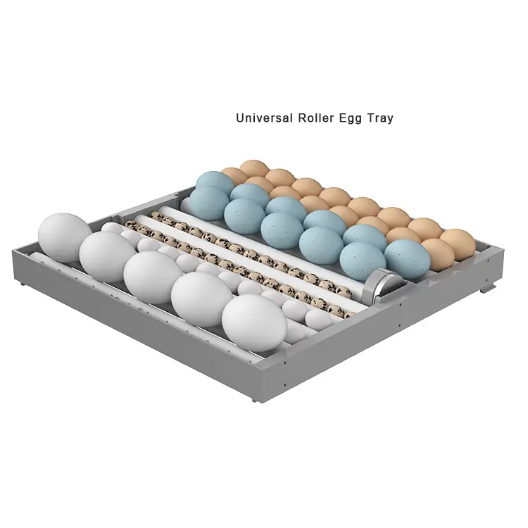 6 Layers 384Pcs Automatic Temperature and Humidity Control Hatching Machines Egg Incubator
