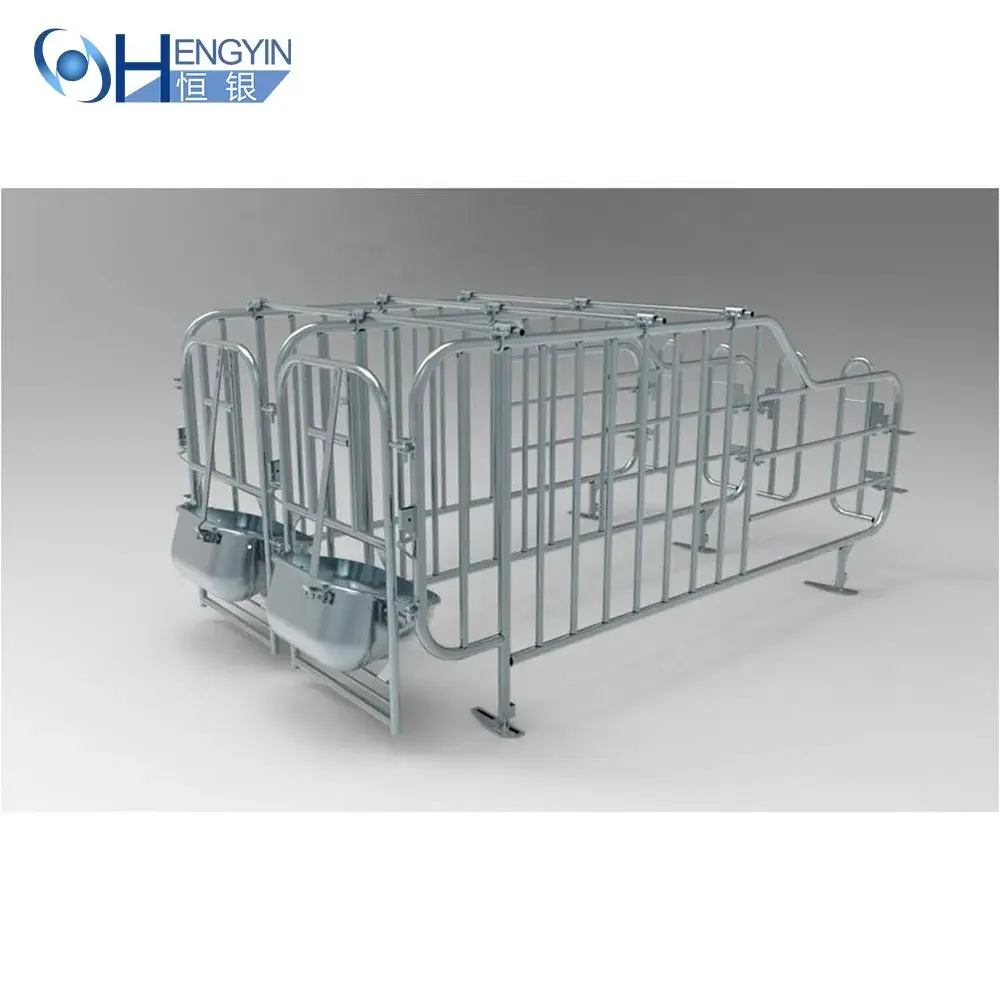 High quality durable pig equipment hot dip galvanized pig gestation crate