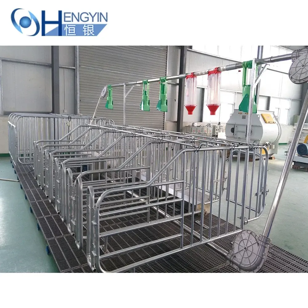 High quality durable pig equipment hot dip galvanized pig gestation crate