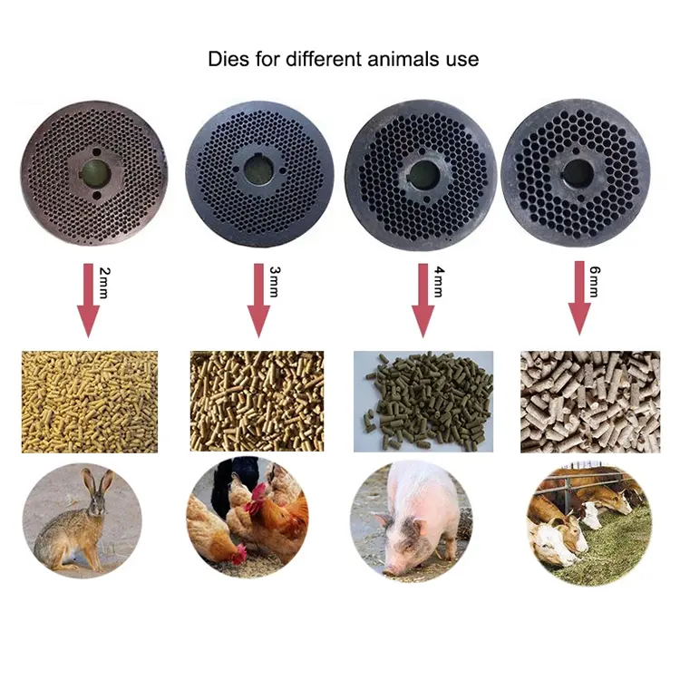 New Chicken Poultry Feed Processing Food Machine for Animal Care
