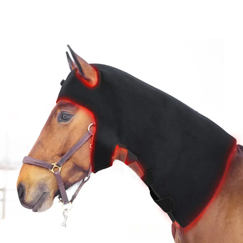 Pulse Wireless Horse head Leg Light Therapy  Equine Therapy Red Light Therapy  for Horse