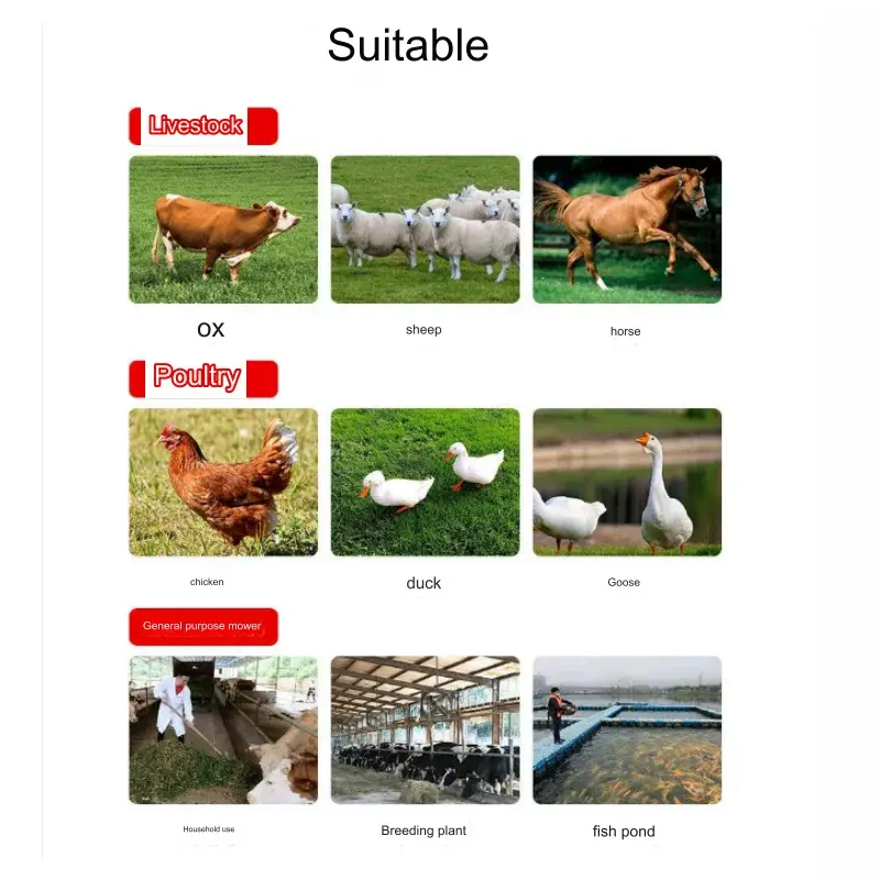For Rabbit, Cow, Chicken, Sheep, Bee, Horse, Goose, Donkey, Duck, Quail, Pig And Mule Plant Feed Chaff Cutter