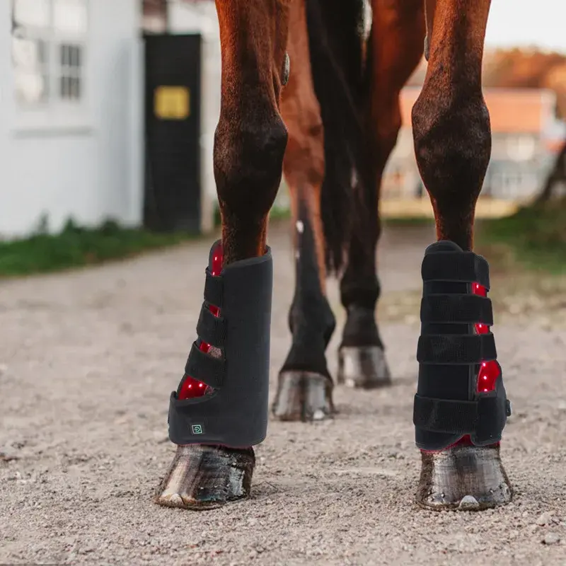 Pulse Wireless Horse head Leg Light Therapy  Equine Therapy Red Light Therapy  for Horse