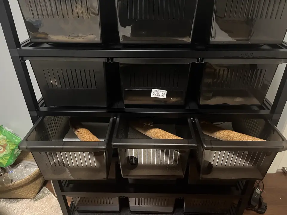 Plastic Reptile Cage Tank Snake Pet Display Case Hide Snake Rack System Reptile Enclosure Supplies including Terrarum Tubs